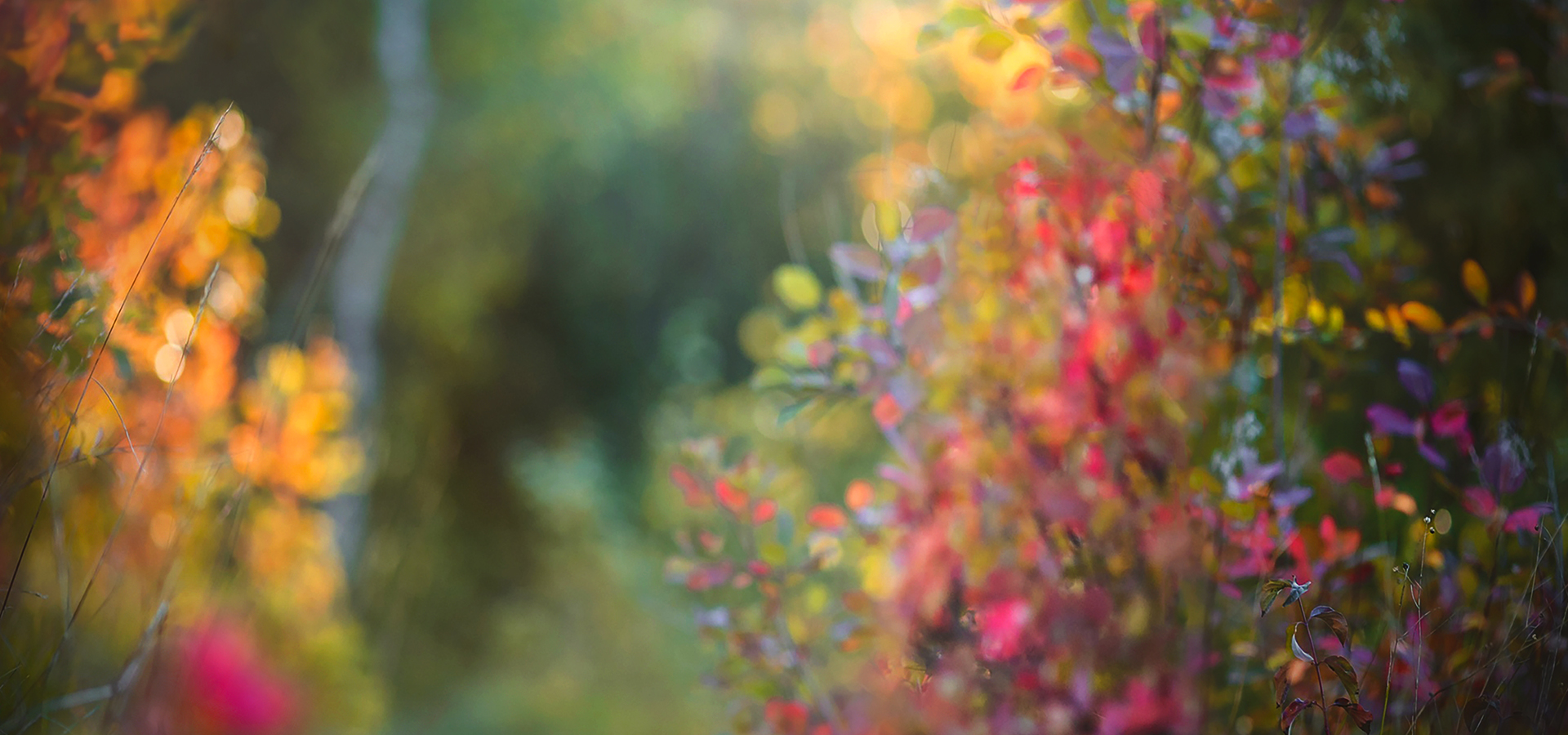 slide-background